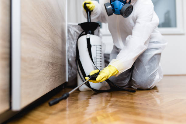Best Pest Prevention Services  in Welcome, SC