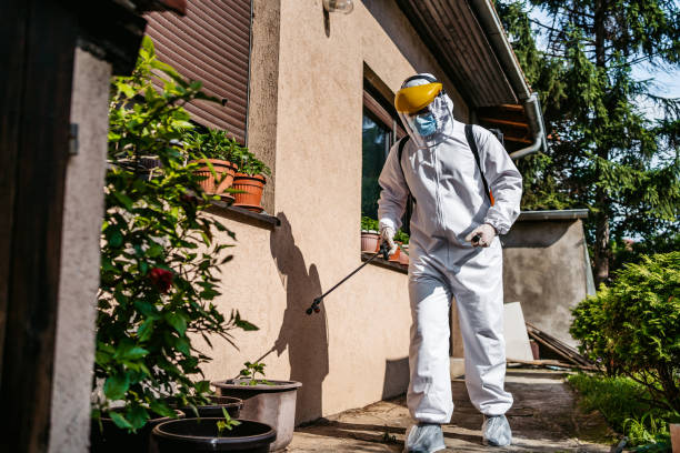 Best Rat Extermination Near Me  in Welcome, SC