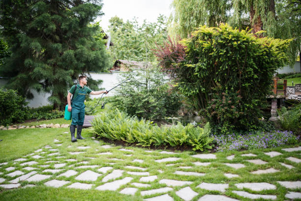 Best Best Pest Control Companies  in Welcome, SC