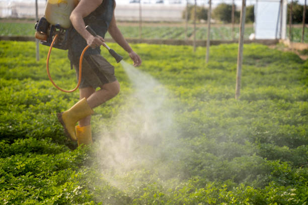 Best Mosquito Control Services  in Welcome, SC