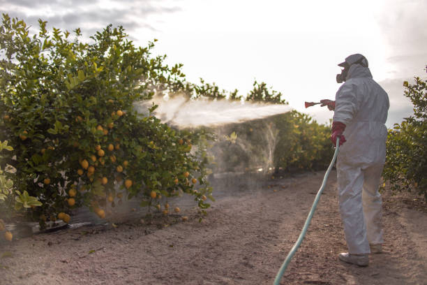 Professional Pest Control in Welcome, SC