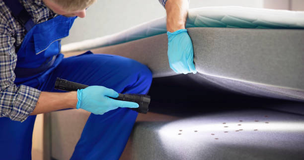 Best Bed Bug Extermination  in Welcome, SC