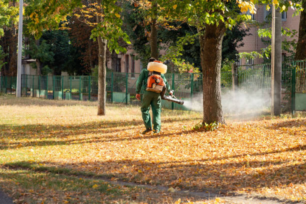 Best Termite Control Services  in Welcome, SC