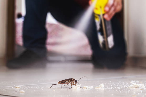 Best Commercial Pest Control Services  in Welcome, SC