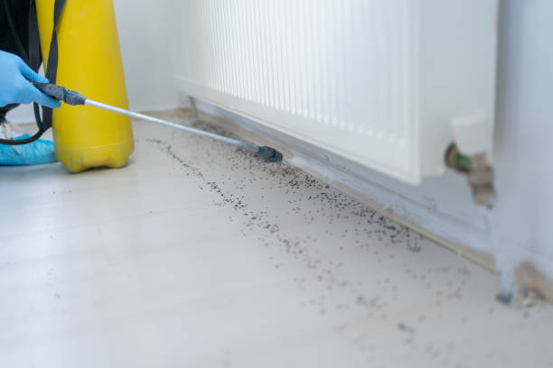 Best Emergency Pest Control  in Welcome, SC