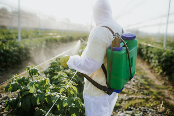  Welcome, SC Pest Control Pros